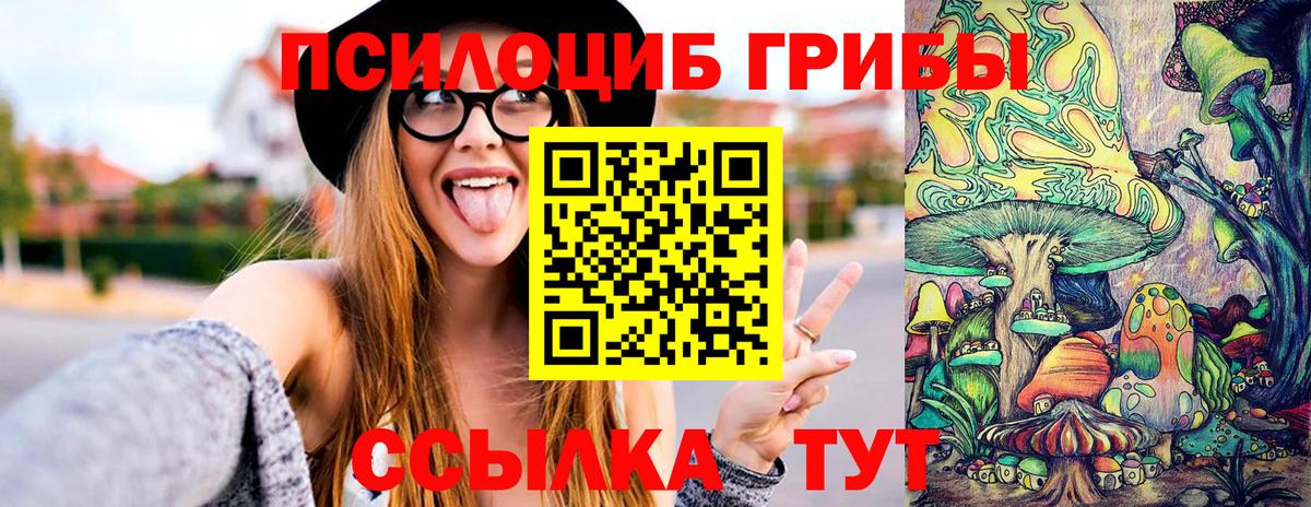 Соль-Илецк  Галлюциногенные грибы Magic Shrooms  Вход с VPN 