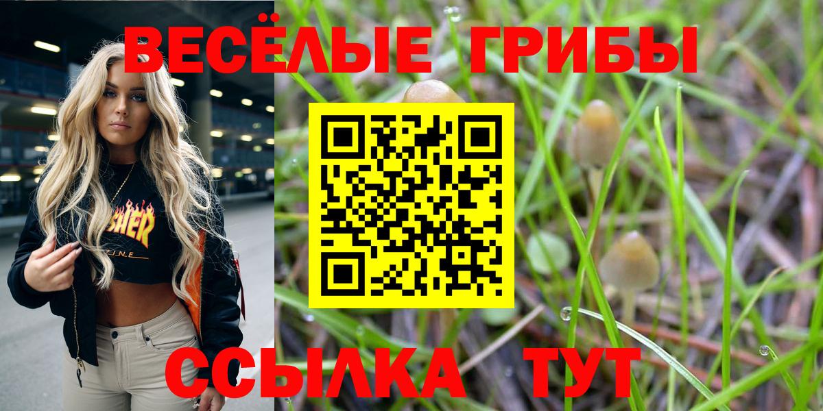 Галлюциногенные грибы Psilocybe Соль-Илецк
